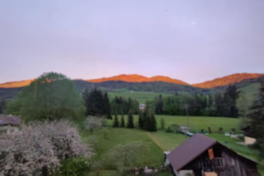 Gite Vallee Verte Burdignin Buitenkant foto