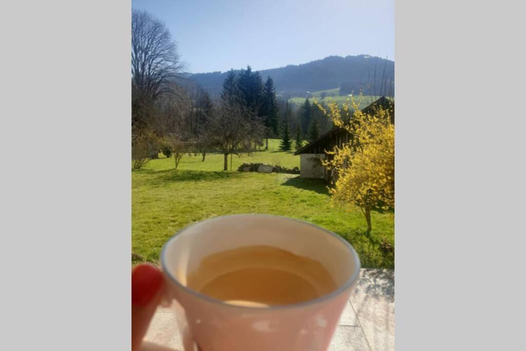 Gite Vallee Verte Burdignin Buitenkant foto