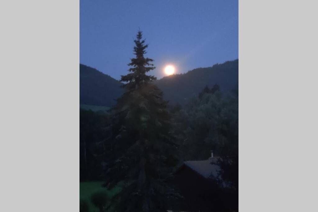 Gite Vallee Verte Burdignin Buitenkant foto