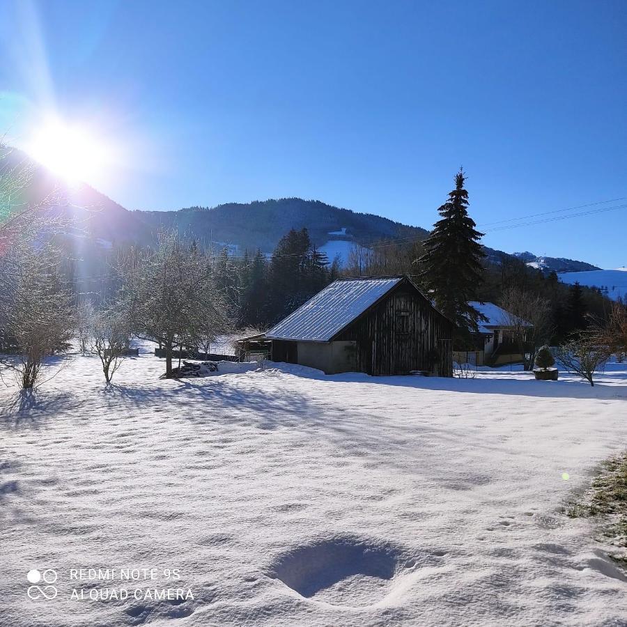 Gite Vallee Verte Burdignin Buitenkant foto