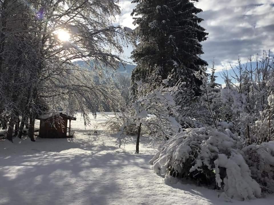 Gite Vallee Verte Burdignin Buitenkant foto