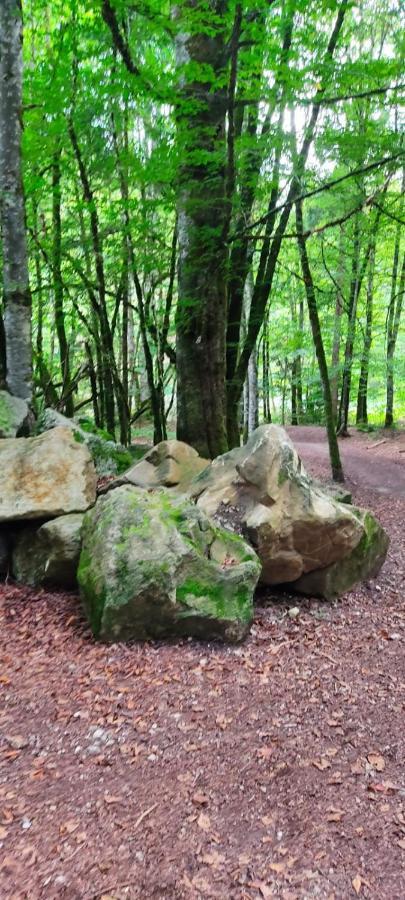 Gite Vallee Verte Burdignin Buitenkant foto