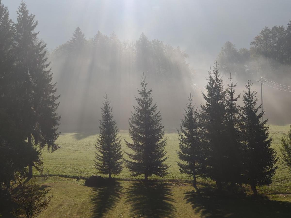Gite Vallee Verte Burdignin Buitenkant foto