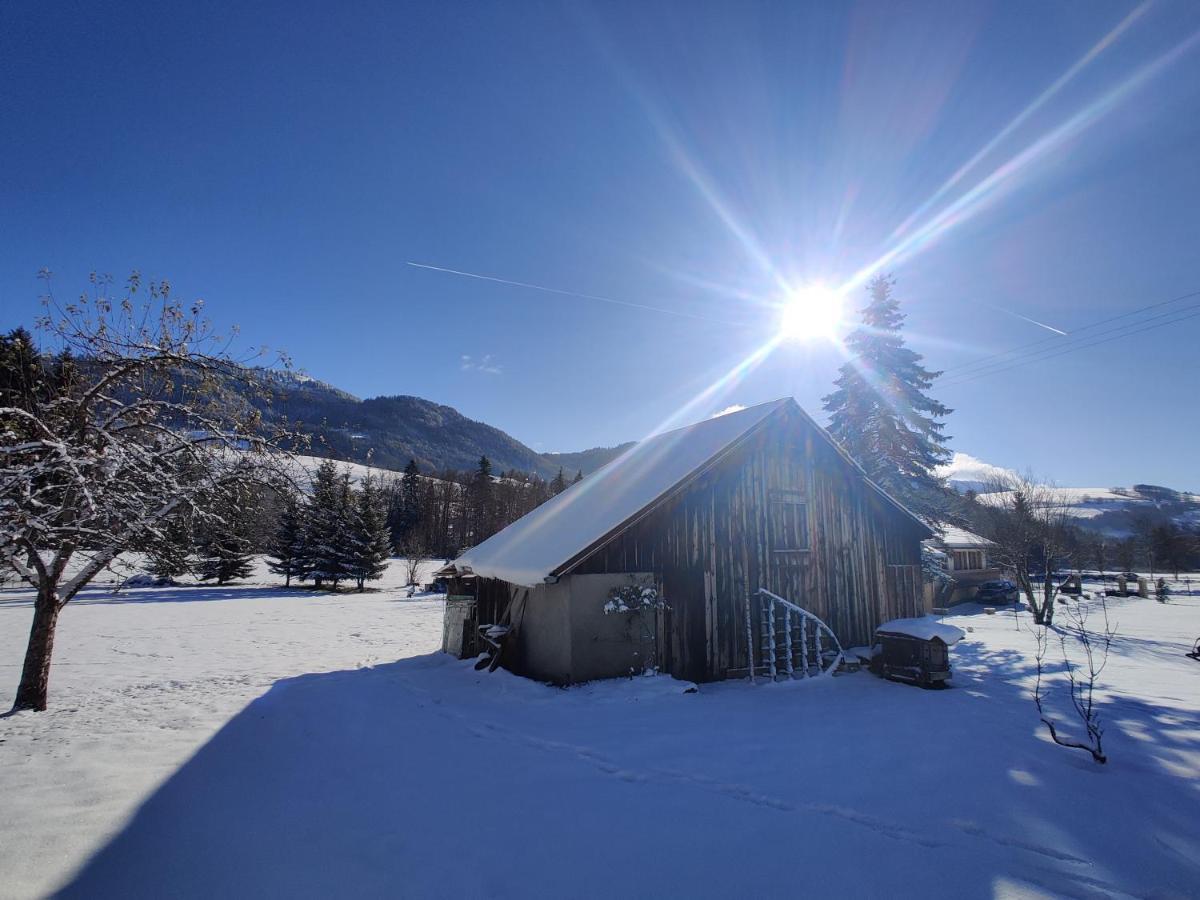 Gite Vallee Verte Burdignin Buitenkant foto