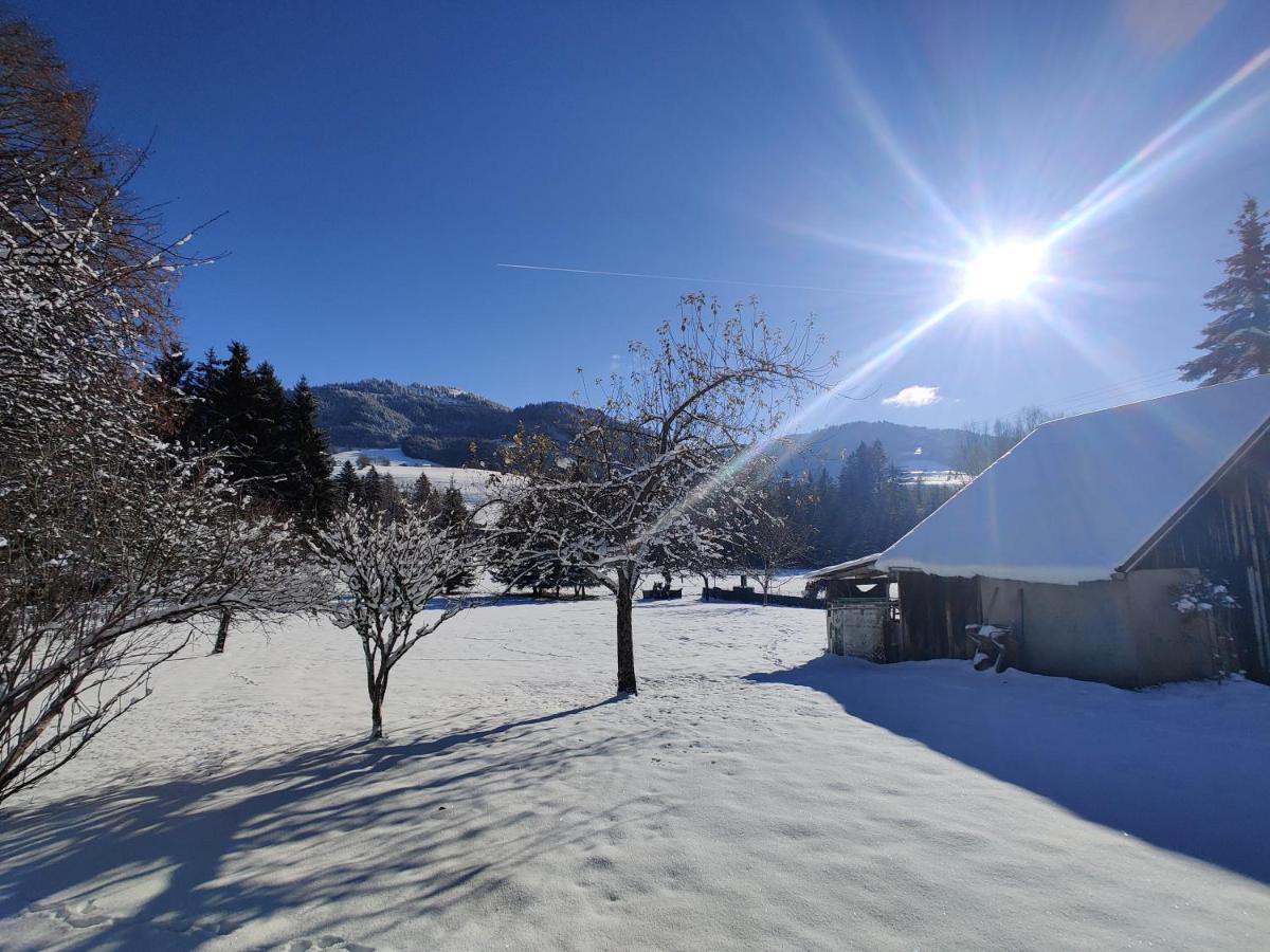 Gite Vallee Verte Burdignin Buitenkant foto