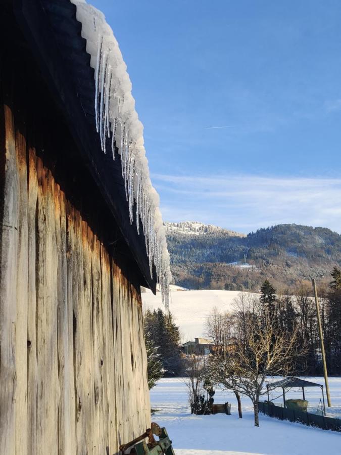 Gite Vallee Verte Burdignin Buitenkant foto