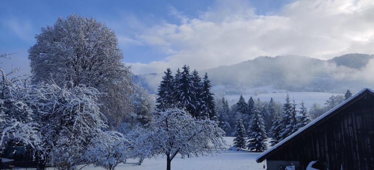 Gite Vallee Verte Burdignin Buitenkant foto